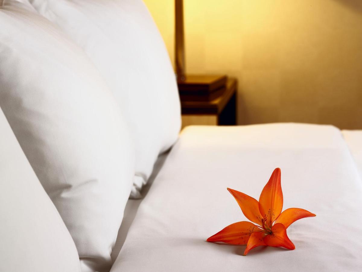 Hotel Acadia Κεμπέκ Εξωτερικό φωτογραφία