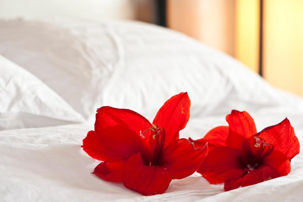 Hotel Acadia Κεμπέκ Εξωτερικό φωτογραφία